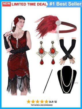1920s Flapper Dress Sequin Fringe Costume with Accessories